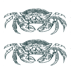 Carousel Image - Crabs