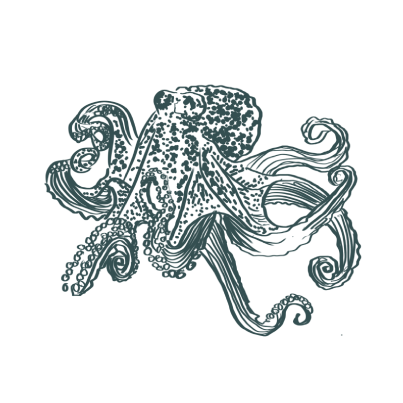 Carousel Image - Octopus