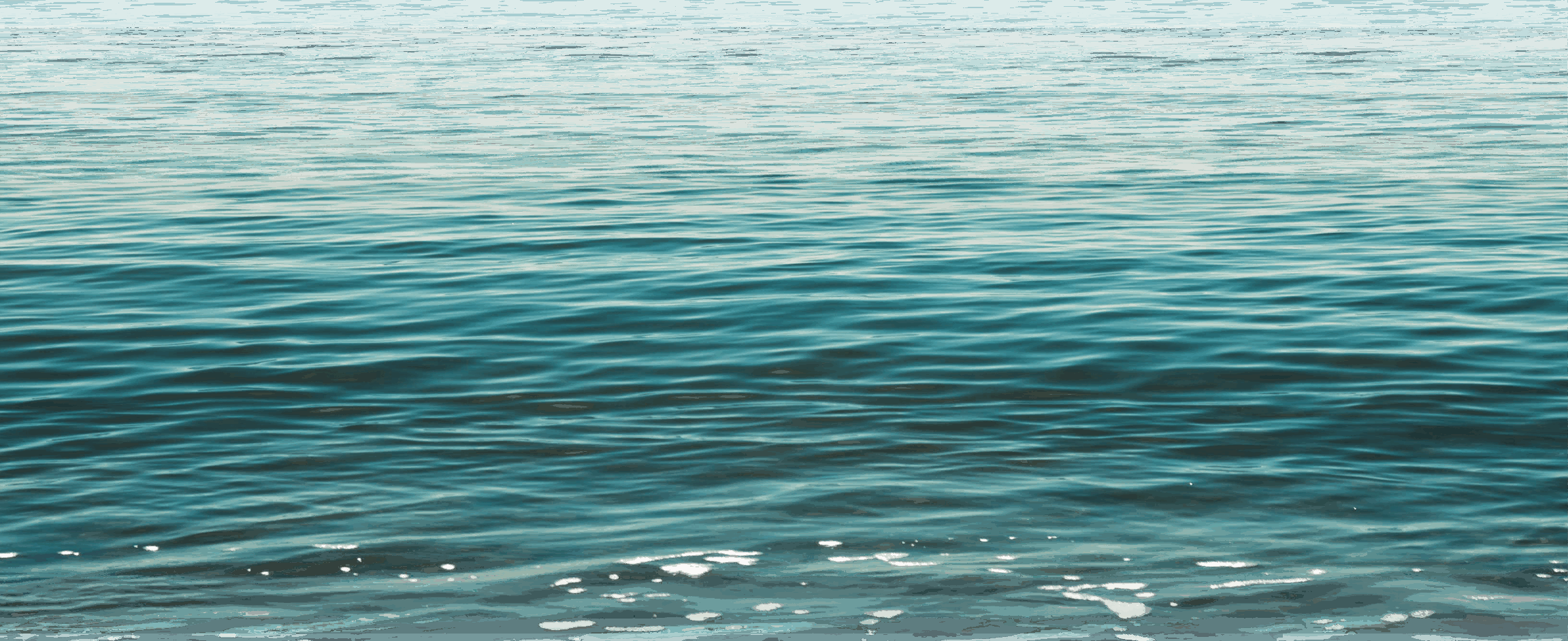 Internal Page Assets 04 1