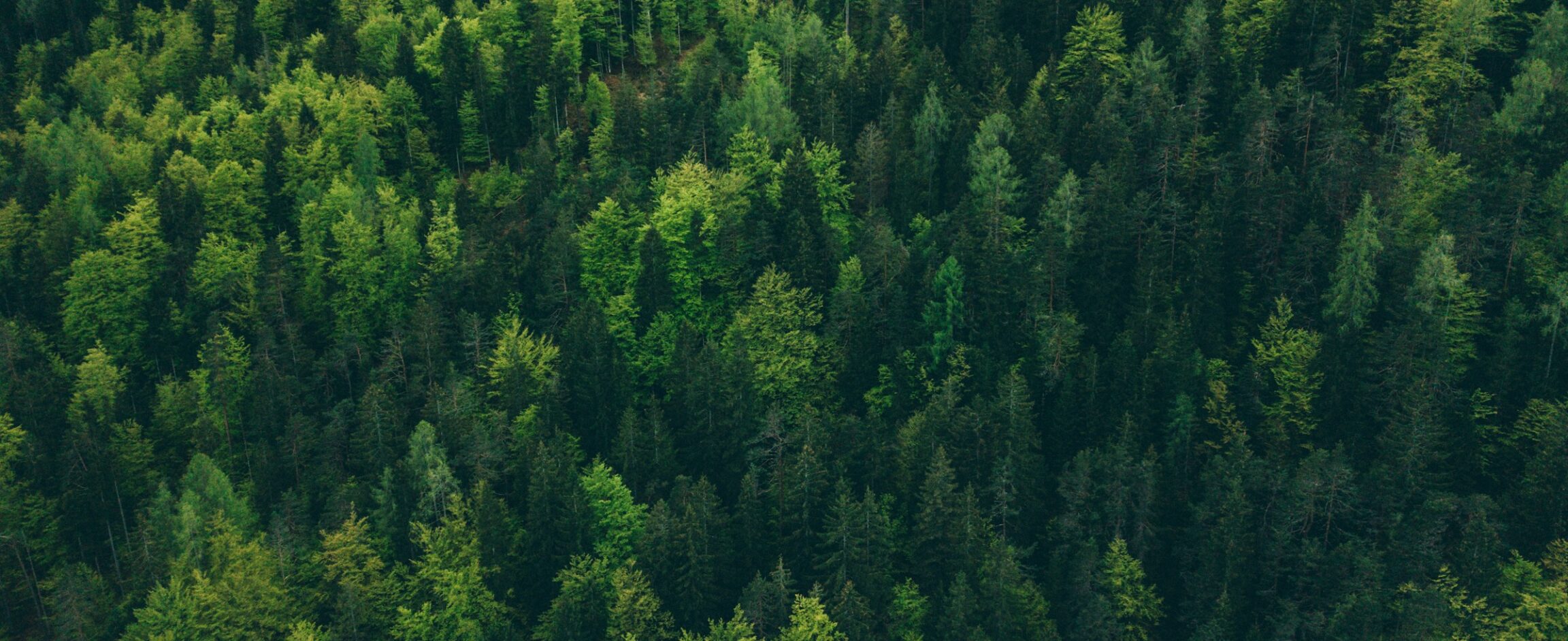 adam vradenburg gu7E90QChU unsplash